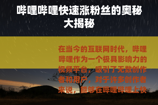 哔哩哔哩快速涨粉丝的奥秘大揭秘