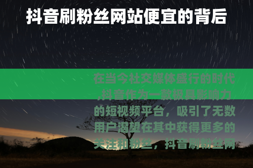 抖音刷粉丝网站便宜的背后