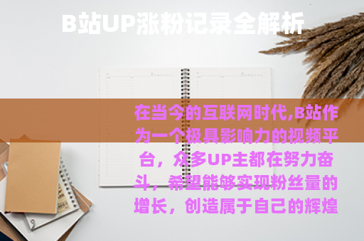 B站UP涨粉记录全解析