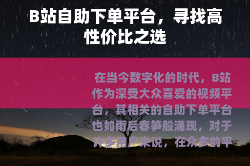 B站自助下单平台，寻找高性价比之选