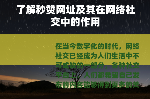 了解秒赞网址及其在网络社交中的作用