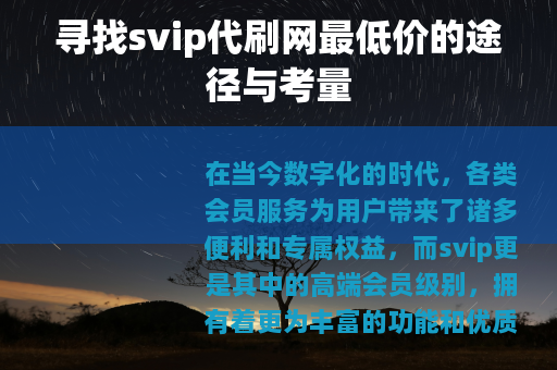 寻找svip代刷网最低价的途径与考量