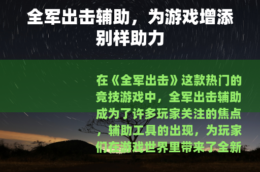 全军出击辅助，为游戏增添别样助力