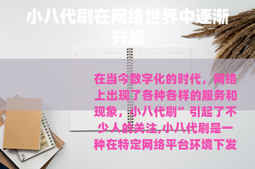 小八代刷在网络世界中逐渐兴起