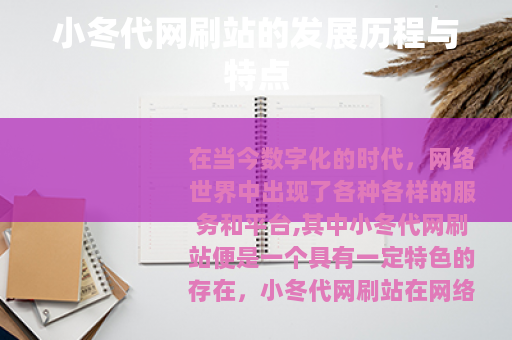 小冬代网刷站的发展历程与特点