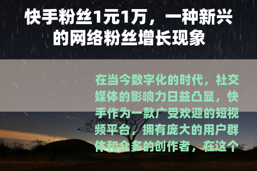 快手粉丝1元1万，一种新兴的网络粉丝增长现象