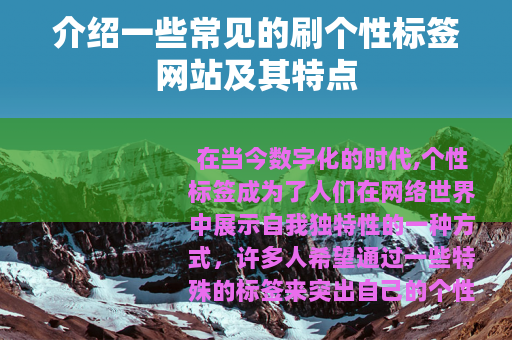 介绍一些常见的刷个性标签网站及其特点