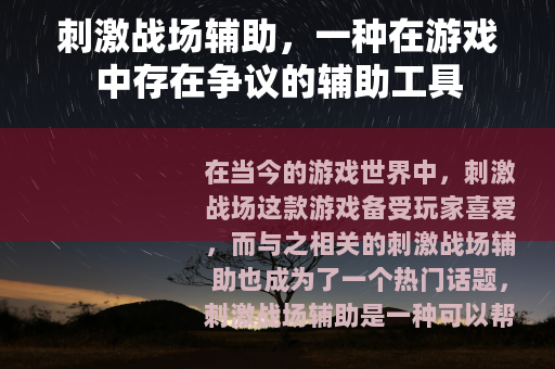 刺激战场辅助，一种在游戏中存在争议的辅助工具