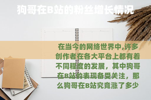 狗哥在B站的粉丝增长情况