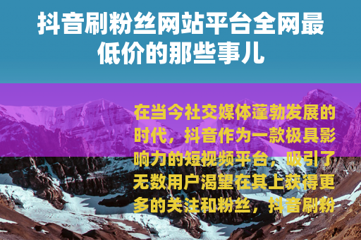 抖音刷粉丝网站平台全网最低价的那些事儿
