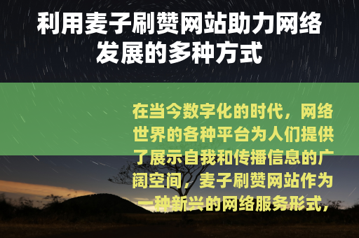 利用麦子刷赞网站助力网络发展的多种方式