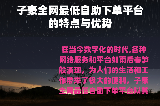 子豪全网最低自助下单平台的特点与优势