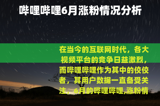 哔哩哔哩6月涨粉情况分析