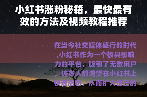 小红书涨粉秘籍，最快最有效的方法及视频教程推荐