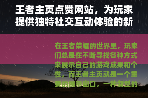 王者主页点赞网站，为玩家提供独特社交互动体验的新平台