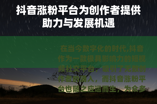 抖音涨粉平台为创作者提供助力与发展机遇