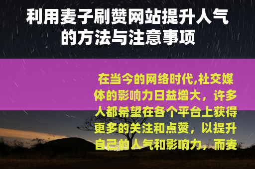 利用麦子刷赞网站提升人气的方法与注意事项