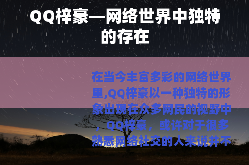 QQ梓豪—网络世界中独特的存在