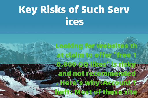Key Risks of Such Services