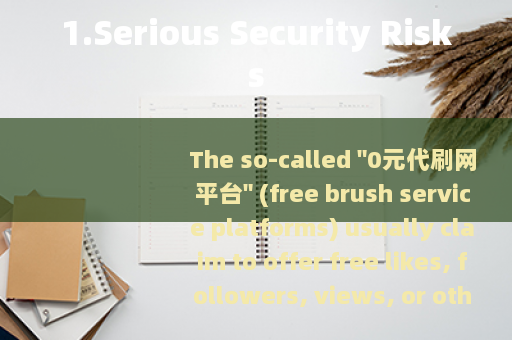 1.Serious Security Risks