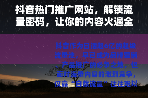 抖音热门推广网站，解锁流量密码，让你的内容火遍全网