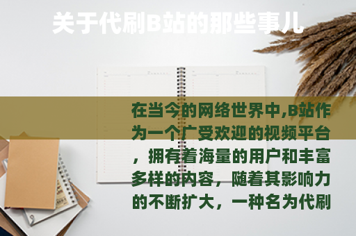 关于代刷B站的那些事儿