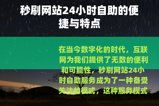 秒刷网站24小时自助的便捷与特点