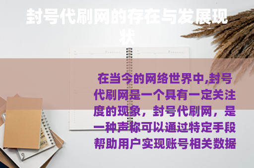 封号代刷网的存在与发展现状