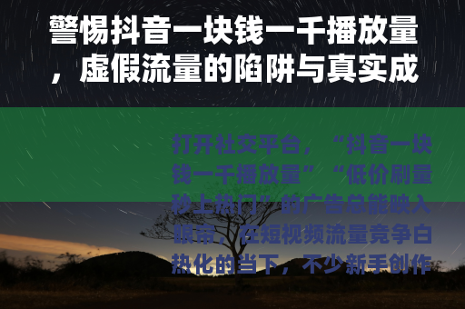 警惕抖音一块钱一千播放量，虚假流量的陷阱与真实成长的路径