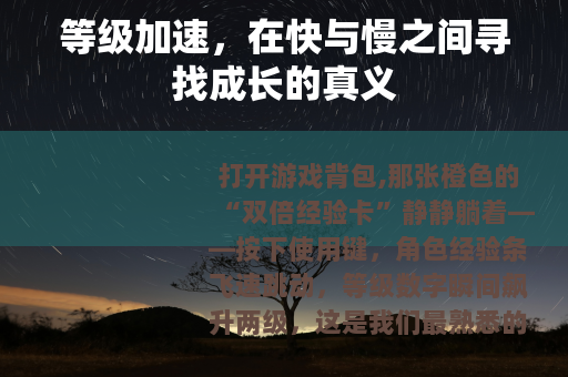 等级加速，在快与慢之间寻找成长的真义