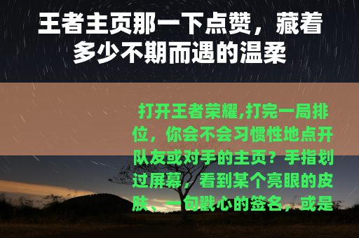 王者主页那一下点赞，藏着多少不期而遇的温柔