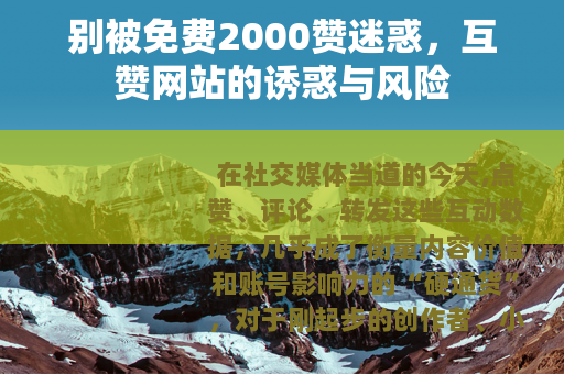 别被免费2000赞迷惑，互赞网站的诱惑与风险