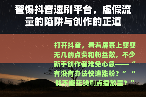 警惕抖音速刷平台，虚假流量的陷阱与创作的正道
