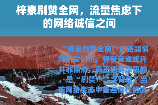 梓豪刷赞全网，流量焦虑下的网络诚信之问