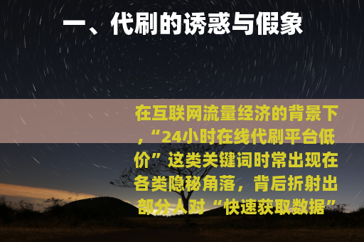 一、代刷的诱惑与假象