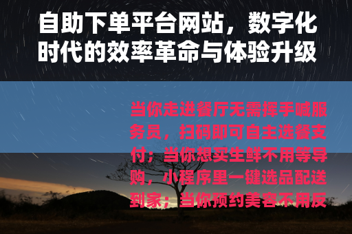 自助下单平台网站，数字化时代的效率革命与体验升级