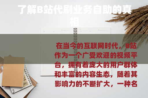 了解B站代刷业务自助的真相