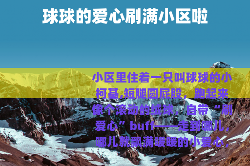 球球的爱心刷满小区啦