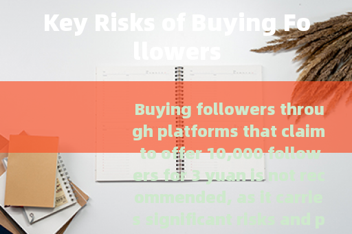 Key Risks of Buying Followers
