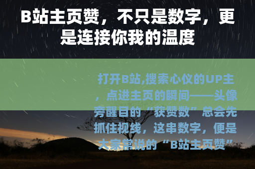 B站主页赞，不只是数字，更是连接你我的温度