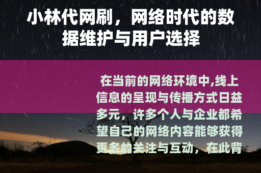 小林代网刷，网络时代的数据维护与用户选择