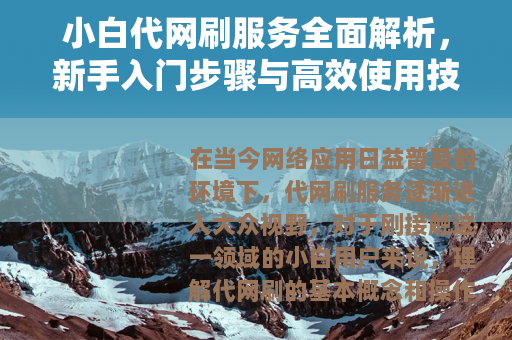 小白代网刷服务全面解析，新手入门步骤与高效使用技巧指南