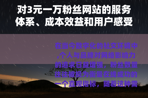 对3元一万粉丝网站的服务体系、成本效益和用户感受进行详细阐述