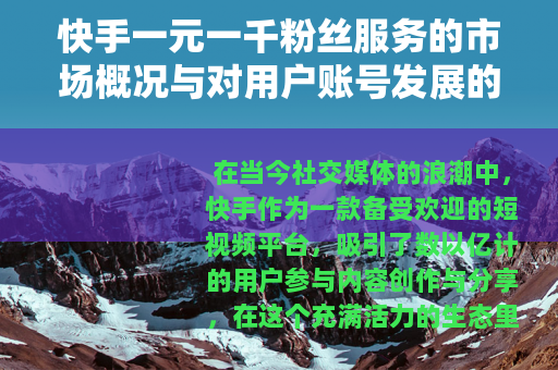 快手一元一千粉丝服务的市场概况与对用户账号发展的考量