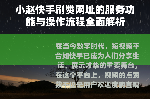 小赵快手刷赞网址的服务功能与操作流程全面解析