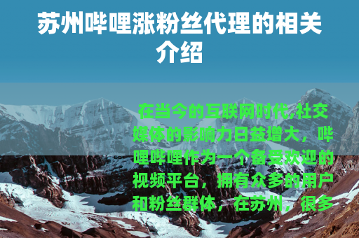 苏州哔哩涨粉丝代理的相关介绍