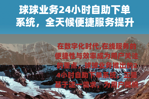 球球业务24小时自助下单系统，全天候便捷服务提升用户体验
