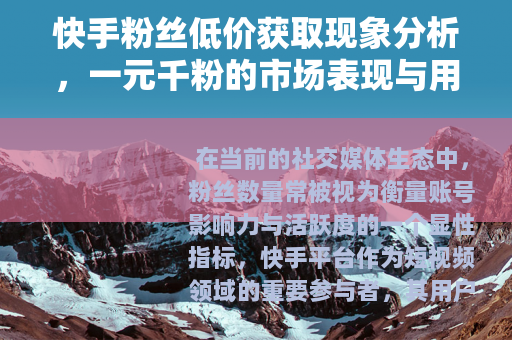 快手粉丝低价获取现象分析，一元千粉的市场表现与用户考量
