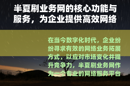 半夏刷业务网的核心功能与服务，为企业提供高效网络业务解决方案