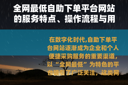 全网最低自助下单平台网站的服务特点、操作流程与用户受益分析